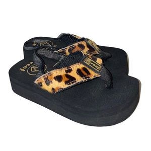 infant cheetah reefs platforms